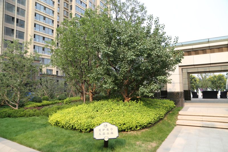 項目實(shí)景（六）