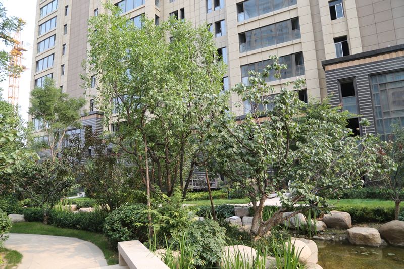 項目實(shí)景（三）