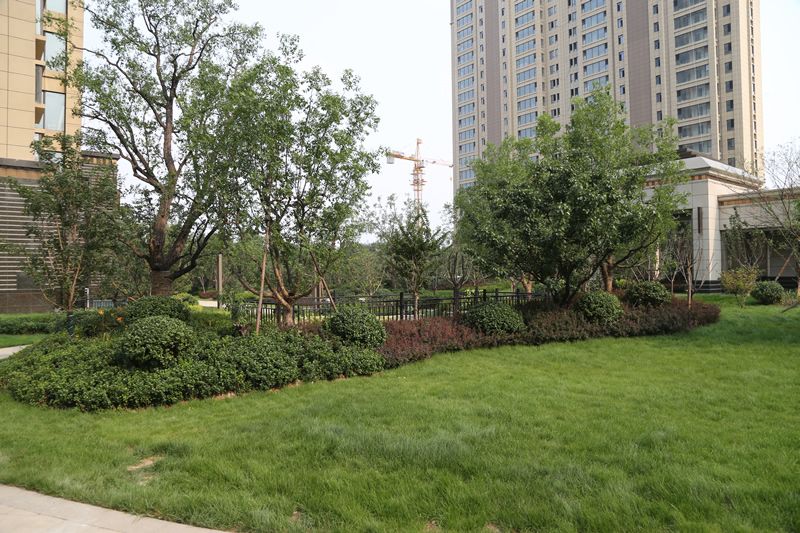 項目實(shí)景(一)